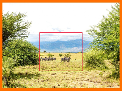 Fotoğrafı Çerçeve İçerisine Alma